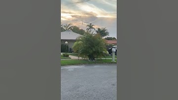 science olympiad flight video