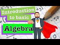 Introduction to Algebra Quiz