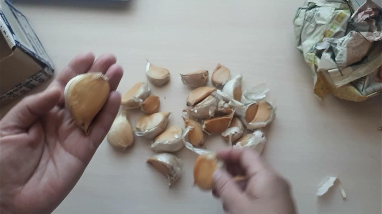 Какой он классный)))! От Анастасии Липатовой пришёл озимый чеснок ...