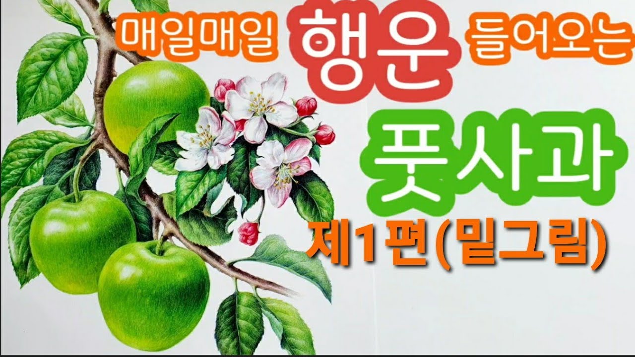 보태니컬아트,행운과 돈들어오는 풋사과 그림,색연필,풍수그림 (1편밑그림),풋사과 그리시고 대박나세요~