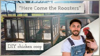 Constructing Chicken Coops with Leftover Lumber