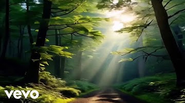 Fleeting Shadows - Luminous leaves guiding the way (Official Music Video)