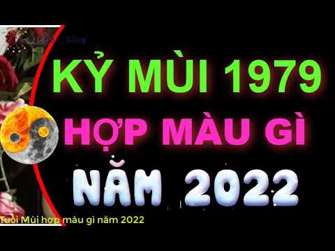 Sinh Năm 79 Hợp Màu Gì - Tuổi Kỷ Mùi 1979 hợp màu gì 2022 để mang đến MAY MẮN