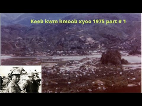 Video: Keeb Kwm Ntawm Lub Tuam Txhab 6: Nws Tau Ua Li Cas