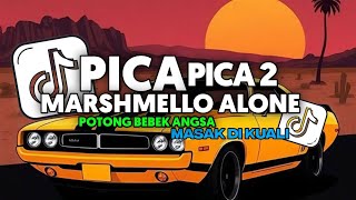 DJ PICA PICA 2 - POTONG BEBEK ANGSA X MARSHMELLO ALONE FULL SONG DJ Vel Bass 2025