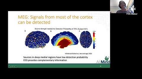 AI-Mind webinar on the neurophysiological basis of EEG and MEG signals