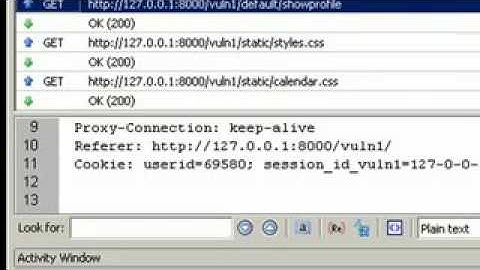 Attacking Web Applications with Broken Authentication