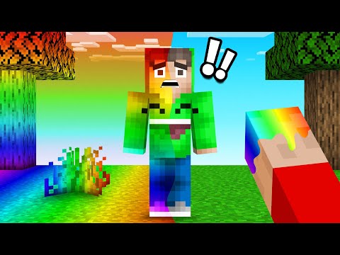 Minecraft But Everything