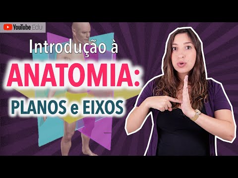 Vídeo: Definição, Função E Anatomia Do Retináculo - Mapas Do Corpo