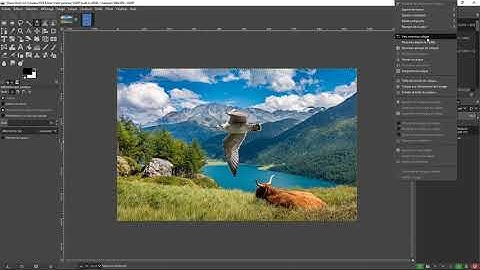 GIMP - Fonction copier et coller