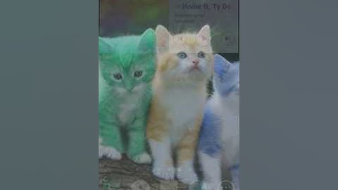 How to download music with FROST WIRE!!  😛😛😊