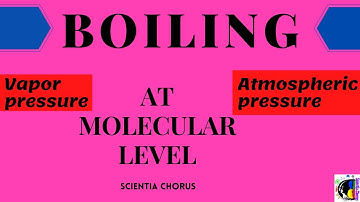 Boiling | At Molecular level | Vaporization process | Bulk phenomenon |