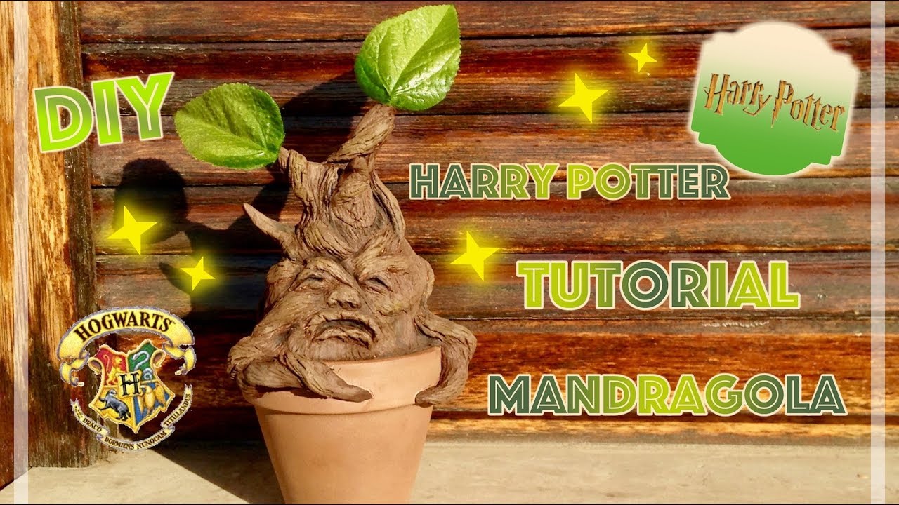 Harry Potter tutorial mandragola, Harry Potter Mandrake, Diy Harry Potter  room decor