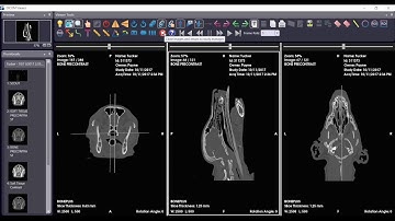 Asteris Keystone Integrated DICOM Viewer Video | Veterinary Image Management Software