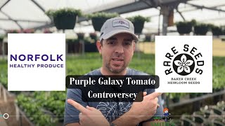 Purple Galaxy Tomato Controversy