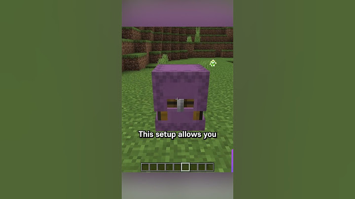 shulker chest