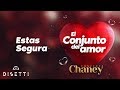 Conjunto Chaney - Estas Segura | Salsa Romantica con Letra