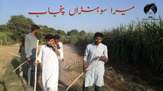 Hamarapeyarapanjabsaraikistanvilogeshahid Bhattipendu Log