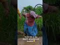 He did this to the poor blind mother and daughter🥺 #movie #nollywood #shortsviral #shorts