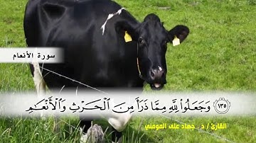 سورة الأنعام من ( ايه 127 ) الى (ايه 140 ) بصوت القارئ د.جهاد المومني