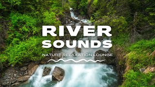 Relaxing Forest River Sounds | 8 Hours Zen White Noise - Nature Relaxation Lounge