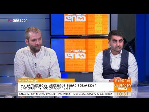 რა პრობლემებს აწყდებიან მცირე მეწარმეები პროდუქციის რეალიზაციისას?