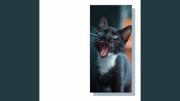 Pulsating Music for Sleepy Cat