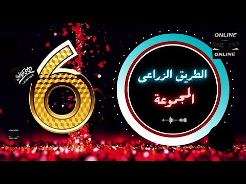 الطريق الزراعى المجموعة