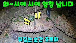 호화스런 바다체험 요즘 바다는 풍년입니다! #해루질