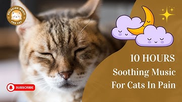 Kalmerende Muziek Voor Katten In Pijn 10 Uur 🎵 Ontspannende Muziek Voor Katten