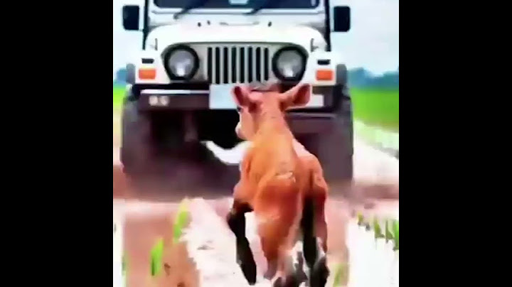 അമ്മയും കുഞ്ഞും