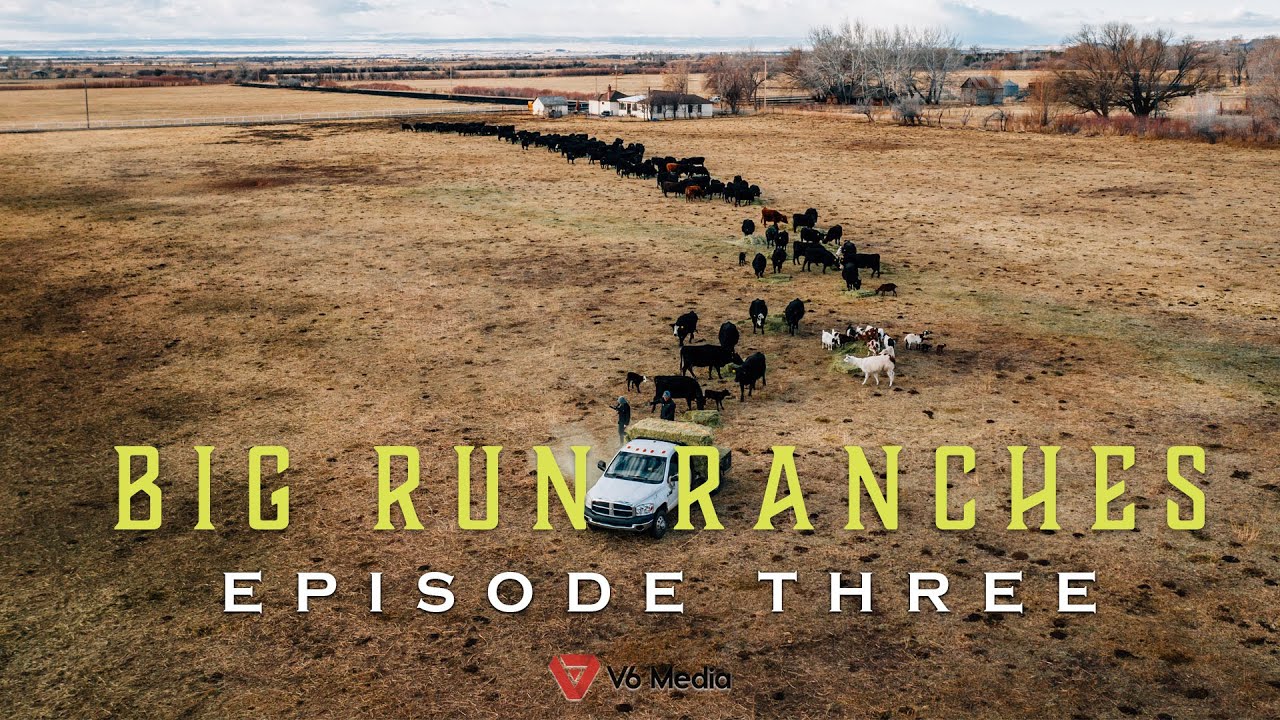 Running 3 Ranch Big Run Ranches - Episode Three - YouTube