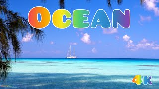 Ocean. 4k. Divine music. Music by Sergey Chekalin. Lounge. Instrumental music.