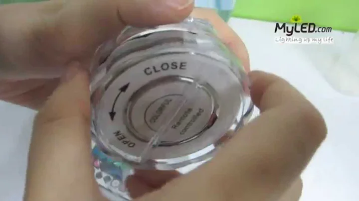 LED Submersible Light 10-LED Colorful Light Remote Control - MyLED.com