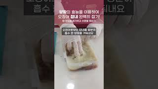 양파의 효능으로 해산물 잡내 제거