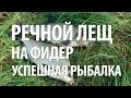 ЛОВЛЯ ЛЕЩА на ФИДЕР с НОРМУНДОМ ГРАБОВСКИСОМ на РЕКЕ