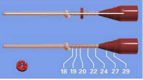 Gutta Core Obturation