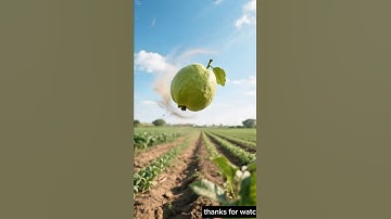 The farmer watered the guava trees and saved them from drying up 😭 #ai #save #tree