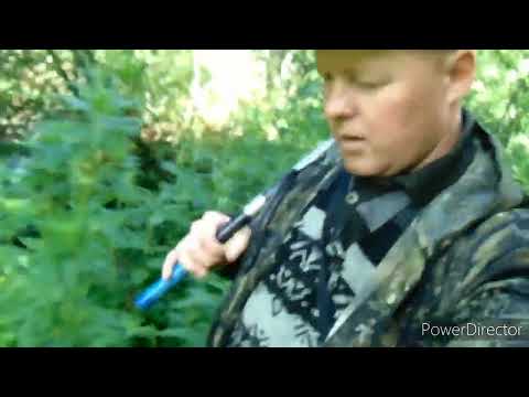 Лучший отдых - это смена деятельности.