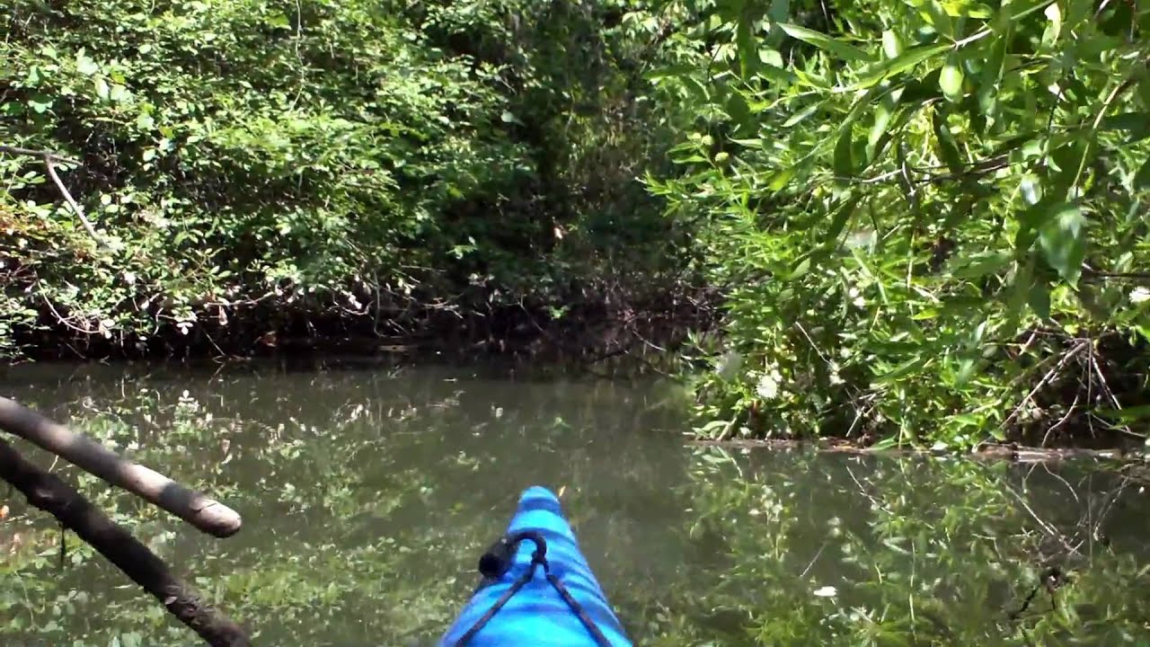 Kayaking on the Cosumnes River Preserve 2 YouTube