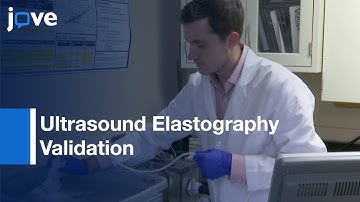 Manufacturing Abdominal Aorta Hydrogel Tissue-Mimicking Phantoms l Protocol Preview