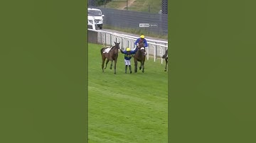Madness! 🤯 #racing #horseracing