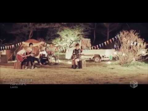 Download For iPhone Free Wallpaper Desktop Wallpaper