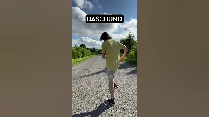 How Dog Breeds Run