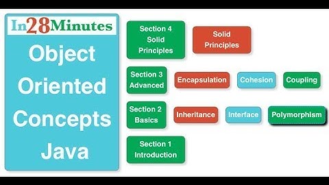 Java Object Oriented Programming (OOPS) Concepts with Examples