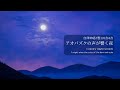 【自律神経が整う自然の音】アオバズクの声とカエルの合唱が響く田舎の夜∶2時間　#安眠bgm #自然の音