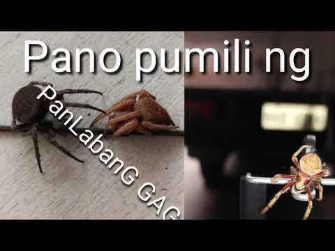 Video: Pumili. Exercise 