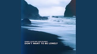 Download Lagu Don't Want To Be Lonely MP3