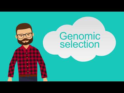 Targeted genotyping by sequencing service – SeqSNP