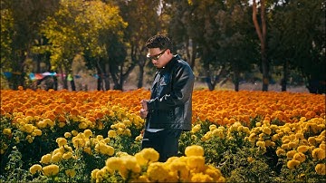 DannyV - Morning Coffee (Official Visualizer)